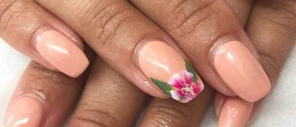 39200705_2181042032117547_3937744308962066432_n