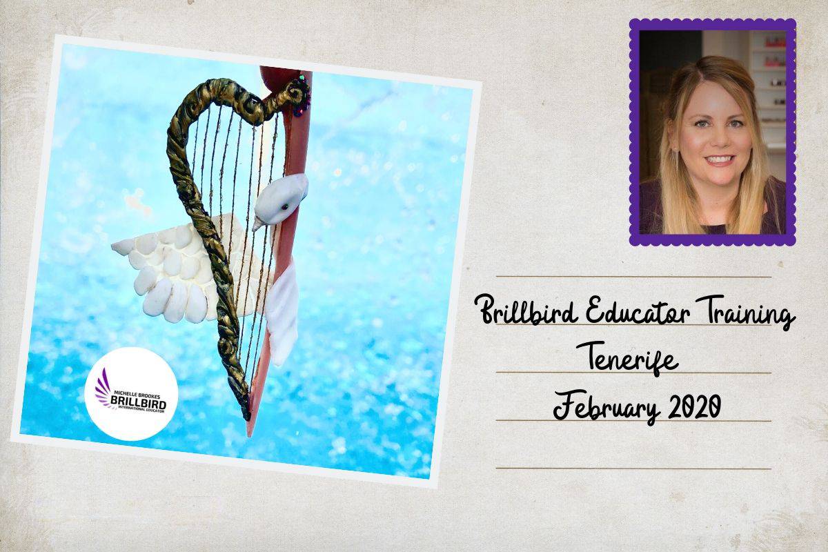 Michelle Brookes blog 3 Brillbird