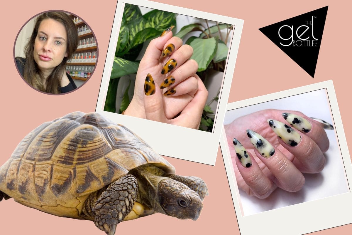 Amy Rickaby TGB tortoiseshell