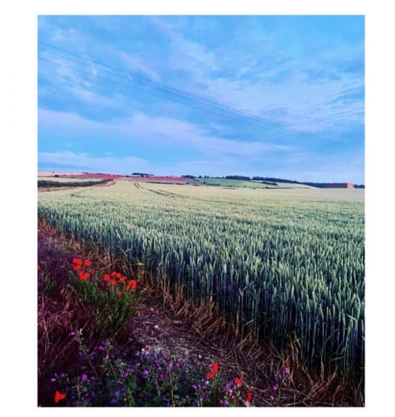 Palm Salon and Spa 10