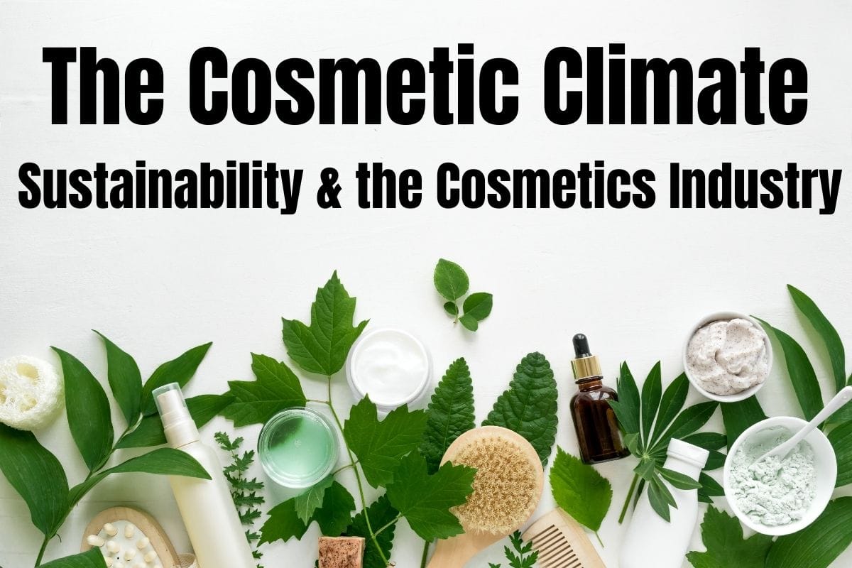 ALEX_ Web news_feature template 1200x800px