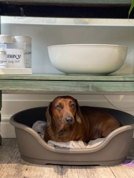 Noir Beauty, Emsworth 10