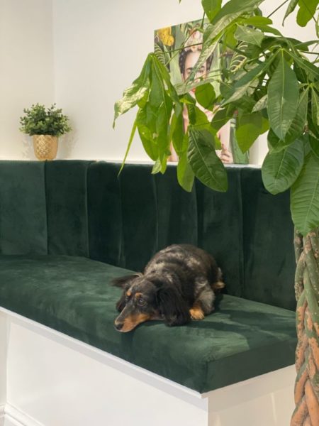 Noir Beauty, Emsworth 15