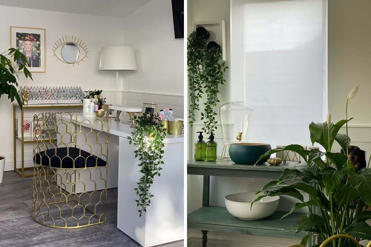 Noir Beauty, Emsworth