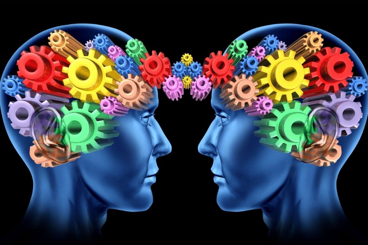 CHLOE Web newsfeature template 1200x800px (1)