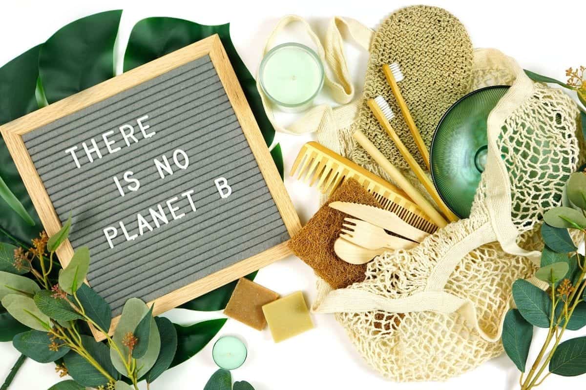 Sustainability beauty planet b