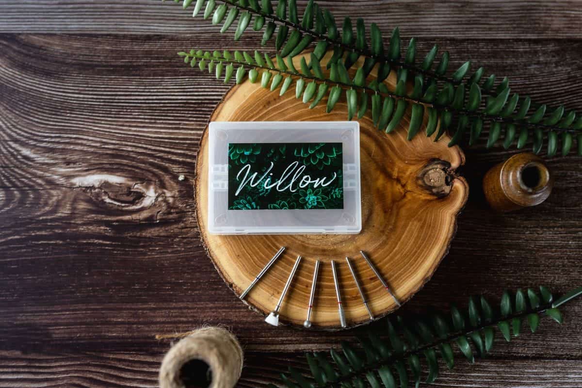 CHLOE Web newsfeature template 1200x800px (19)