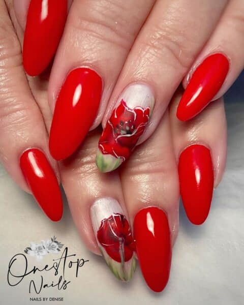 Onestop nails peterborough