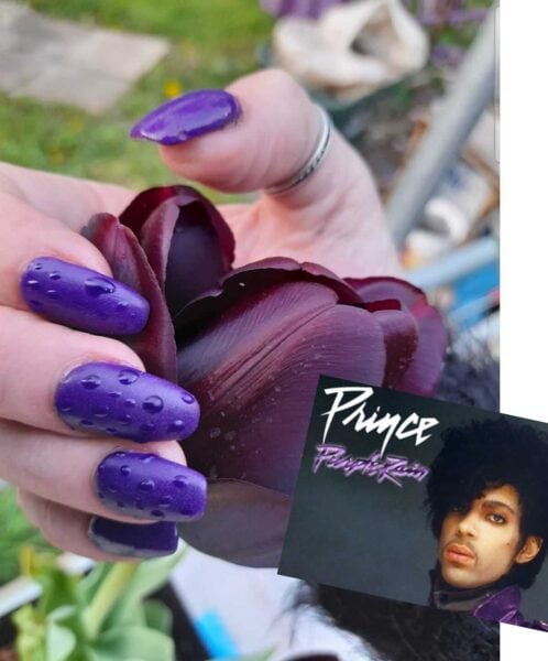 Claire Champness - Prince