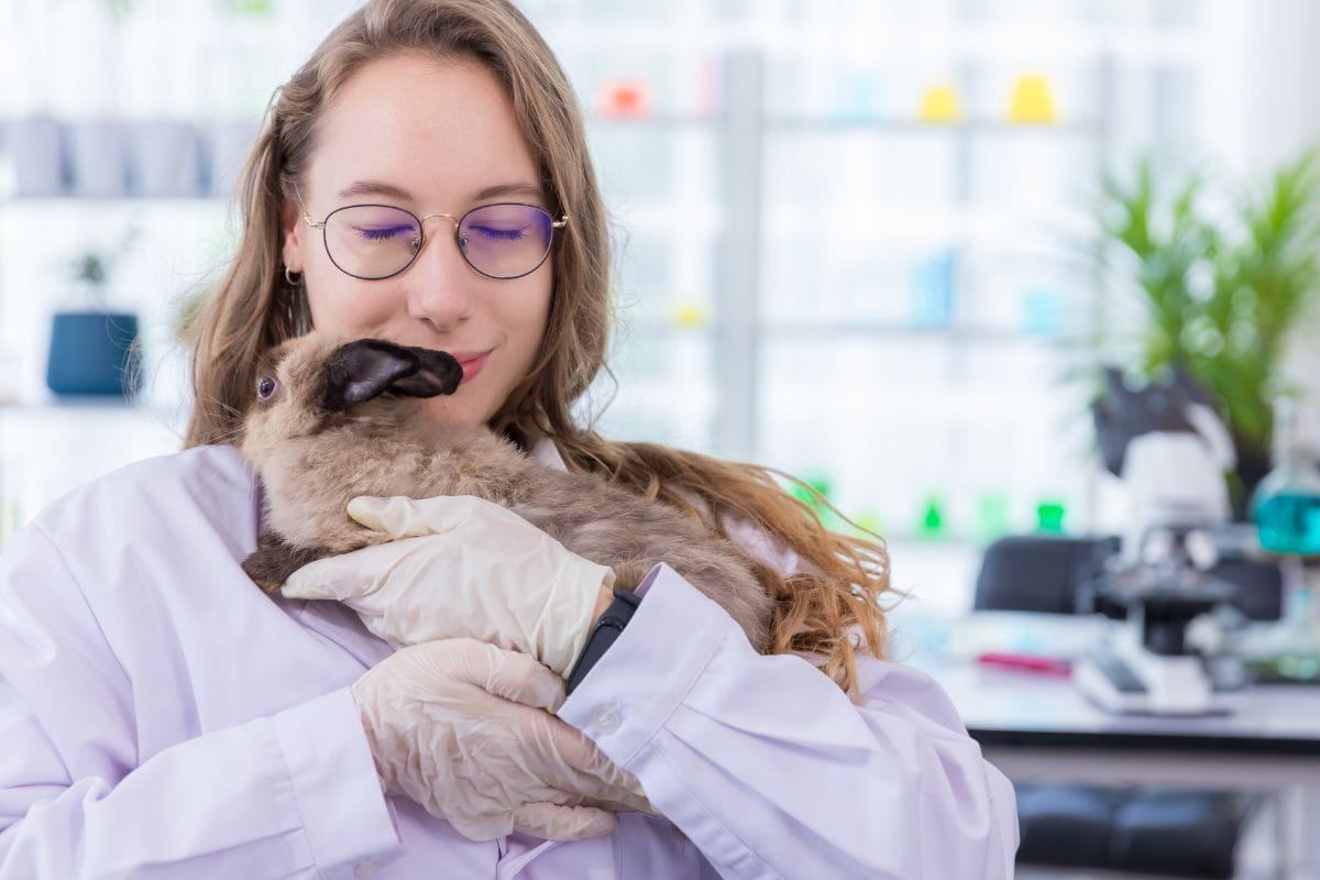 CHLOE Web newsfeature template 1200x800px