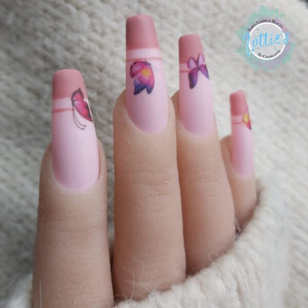 Charlotte Knowles Butterflies