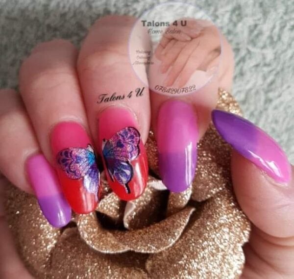 Pauline Rogers Butterflies