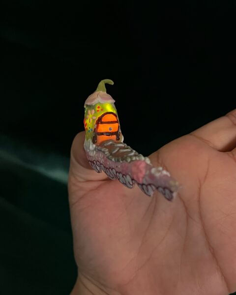 Ellie citalan image00012