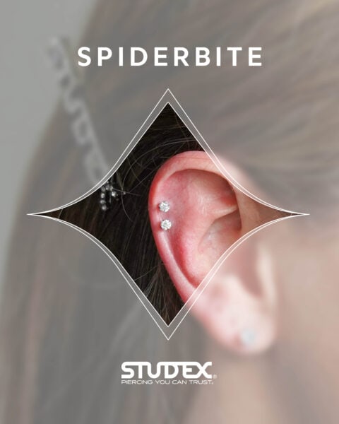 Stud multipiercingsnewsize