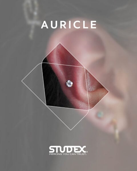 Stud multipiercingsnewsize2