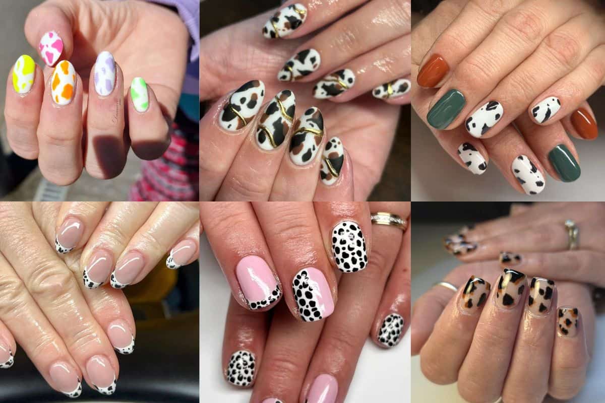 Cow print #ShowScratch #CreativeChallenge