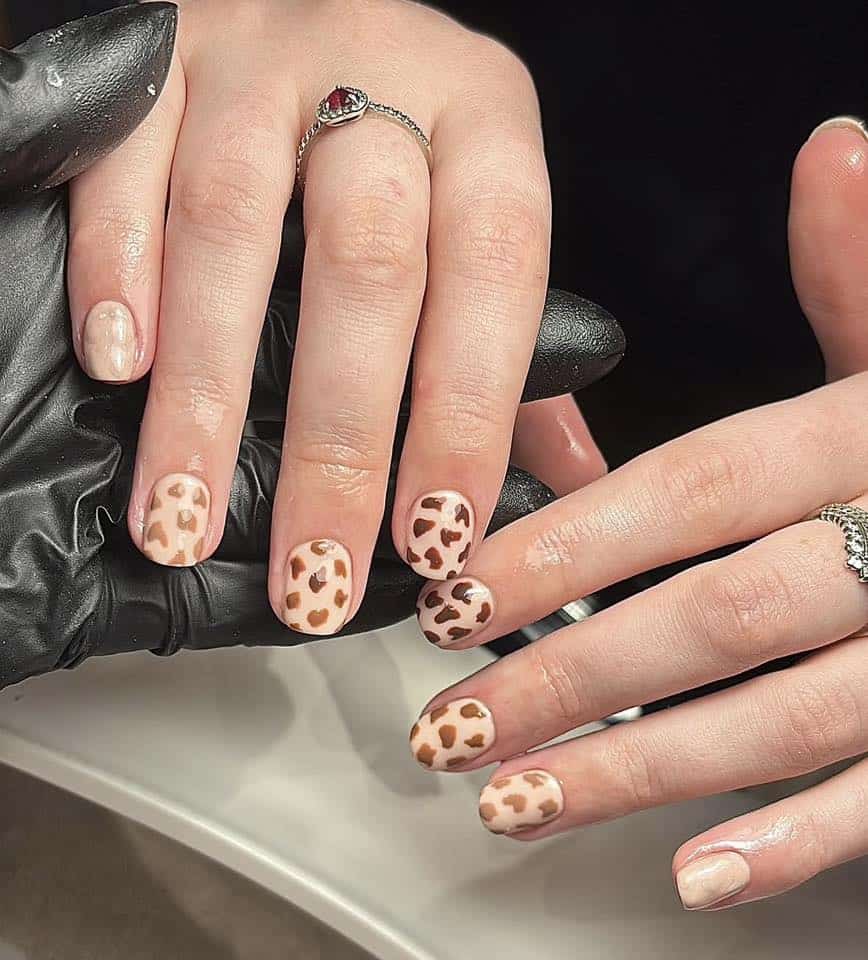 Image courtesy of maisy jeffrey