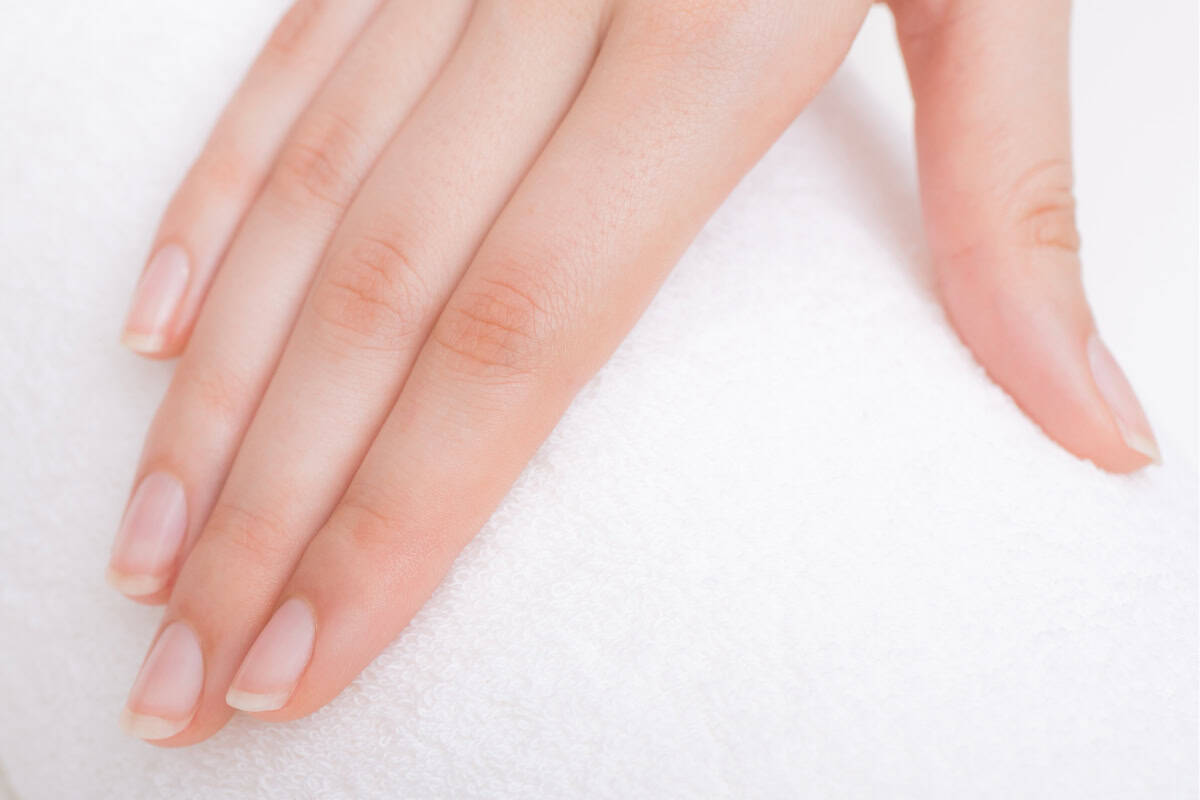 What is the nail matrix header